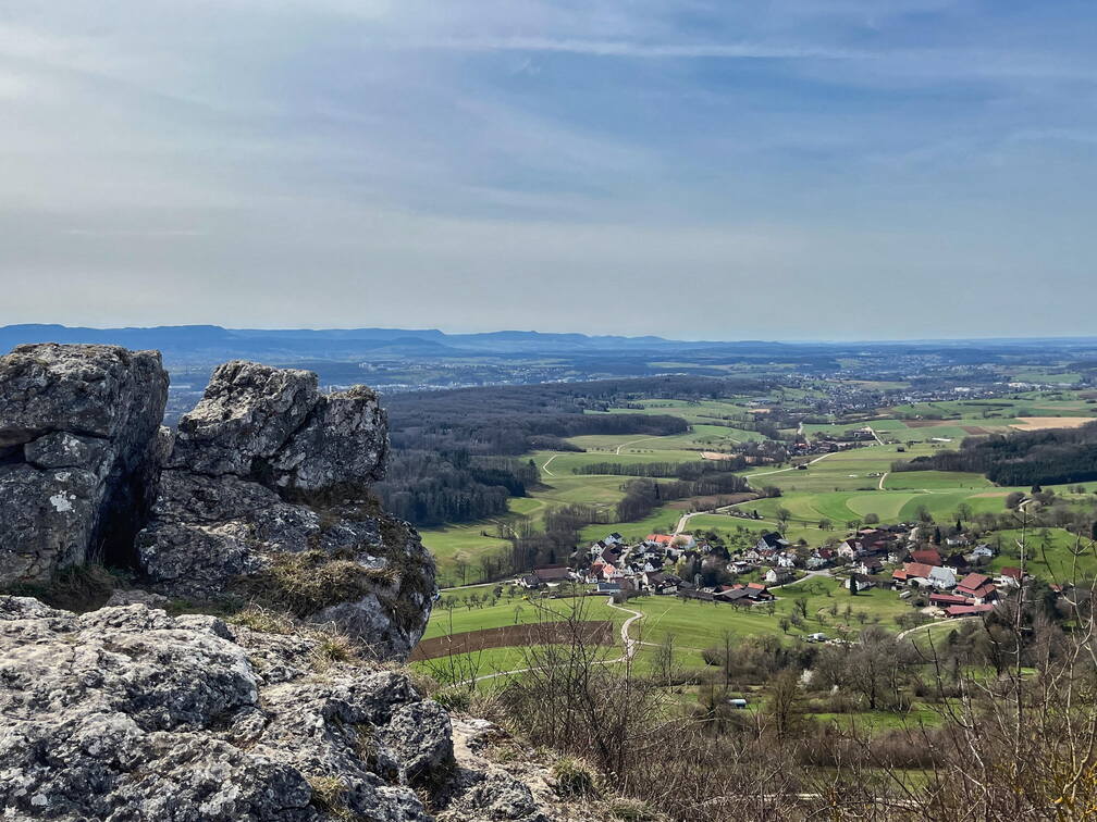 25-03-21 12-13-49 2478